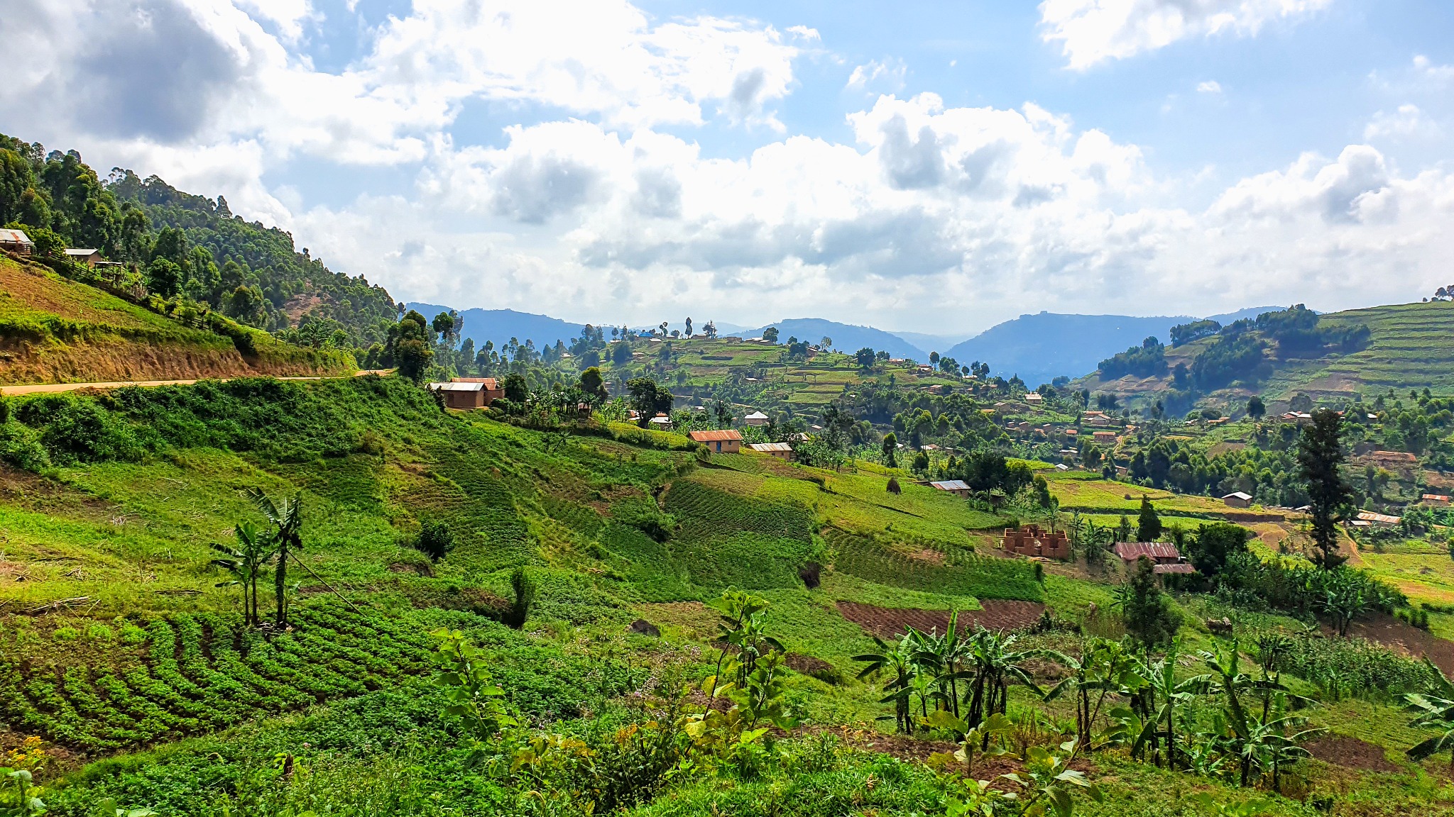 Rural farming landscape in Uganda