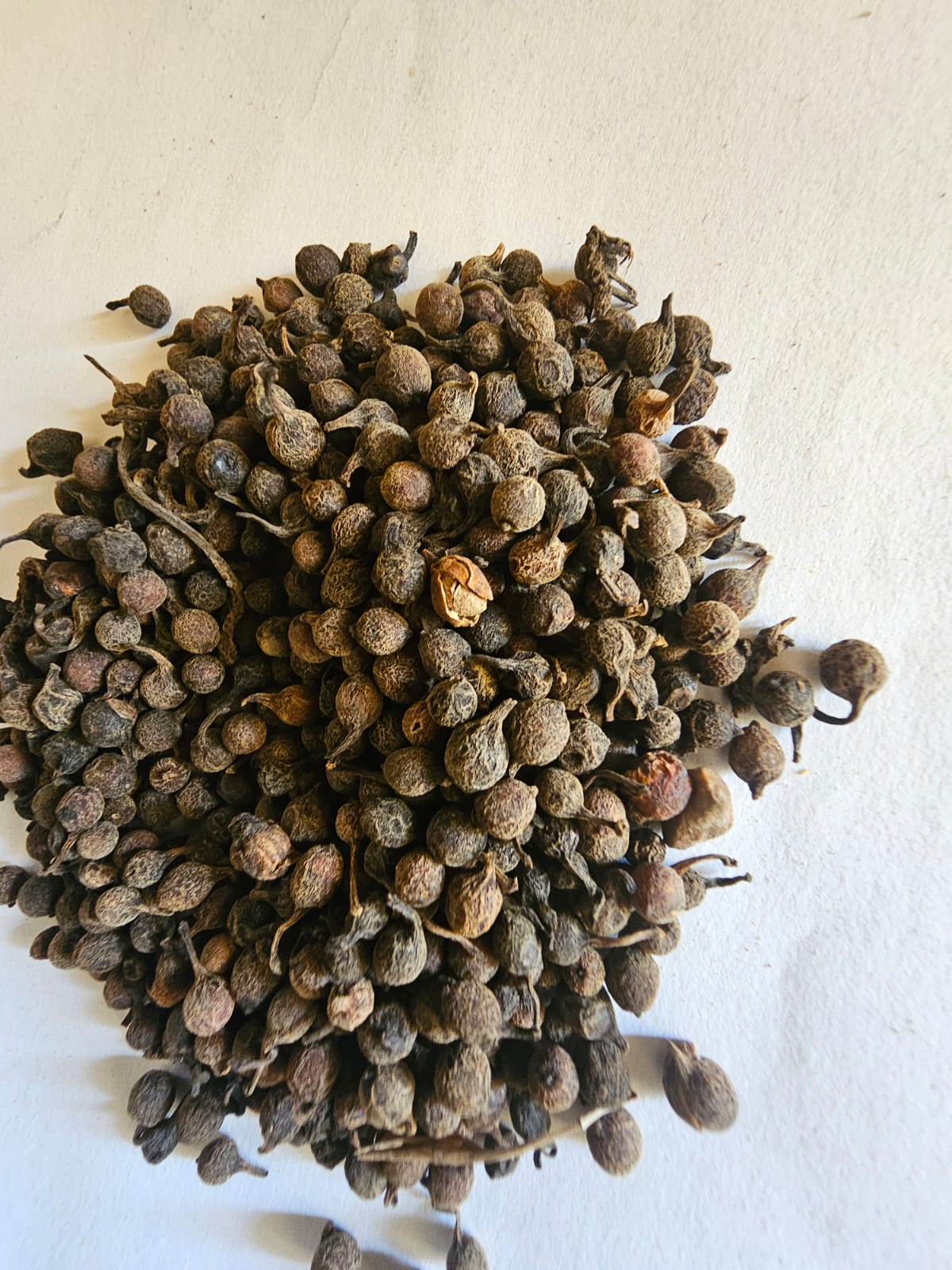 Whole wild black pepper